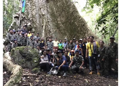 2018–05-09 董里百年古树40人才能合抱